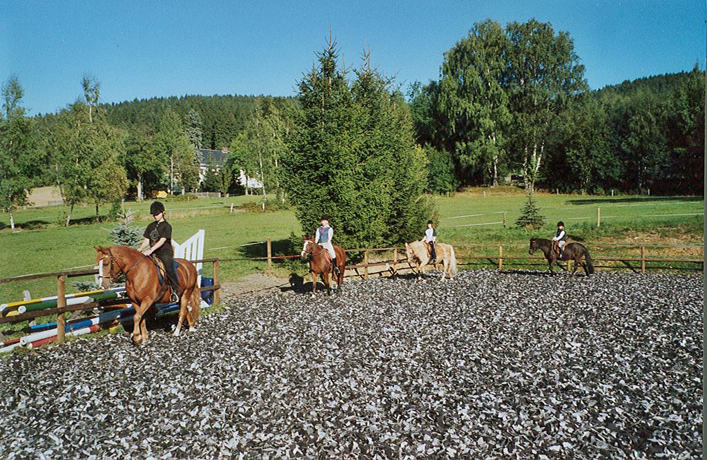Kindergrupe auf dem Reitplatz