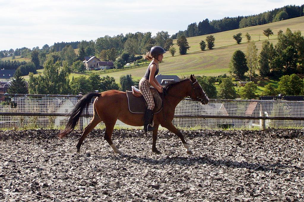 Reiterin auf dem Reitplatz